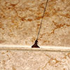 cracked floor tile